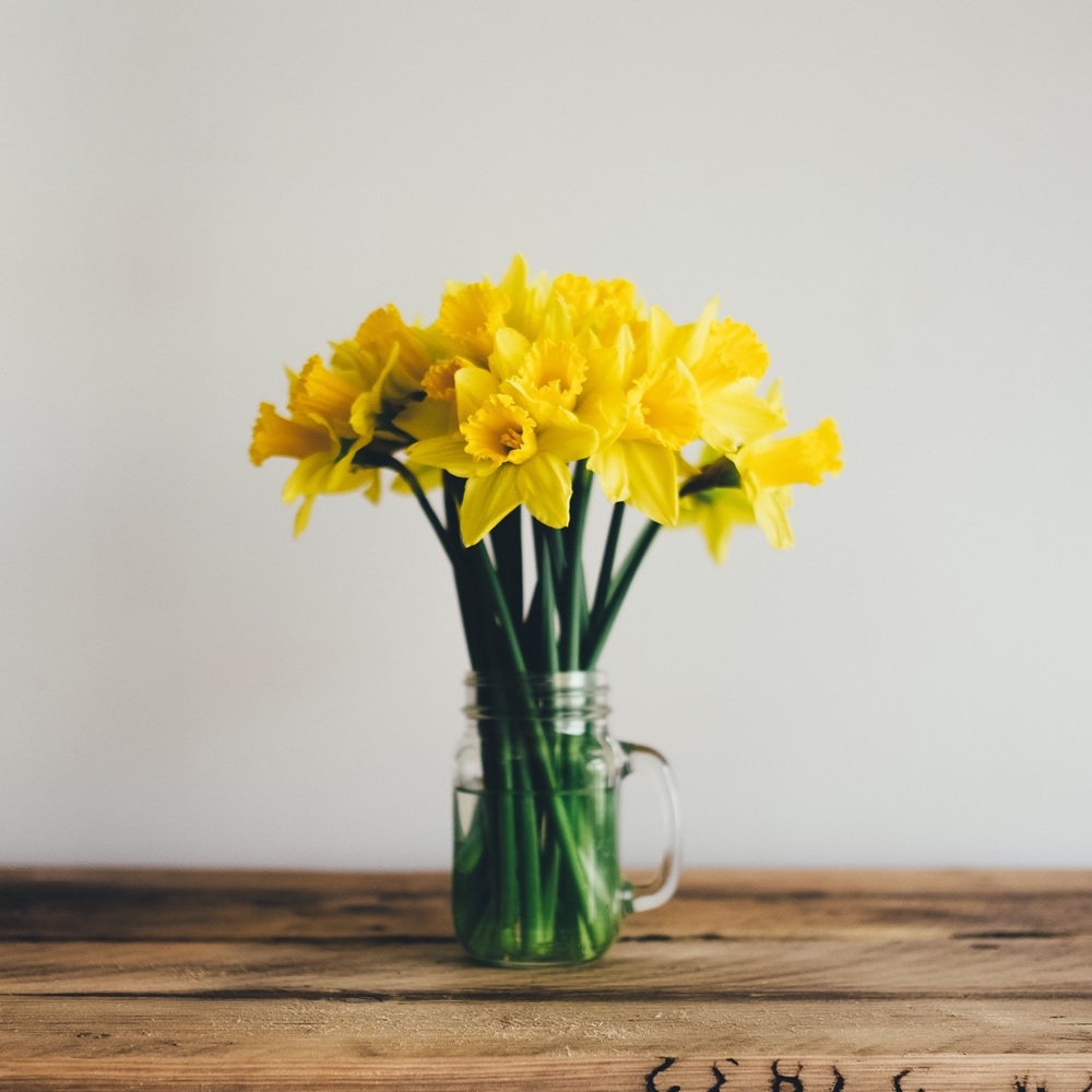 Meet your Posher, Holly